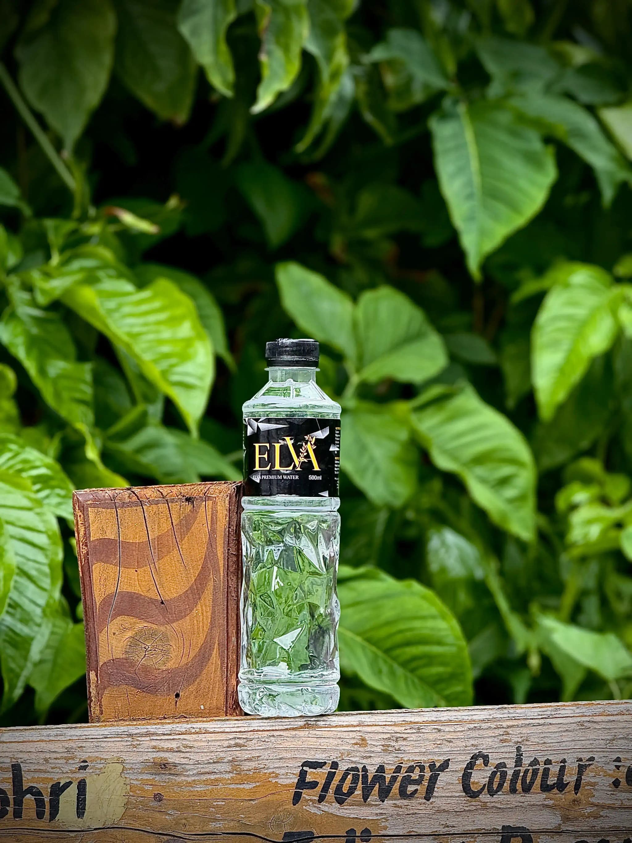 Mountain spring source and natural environment