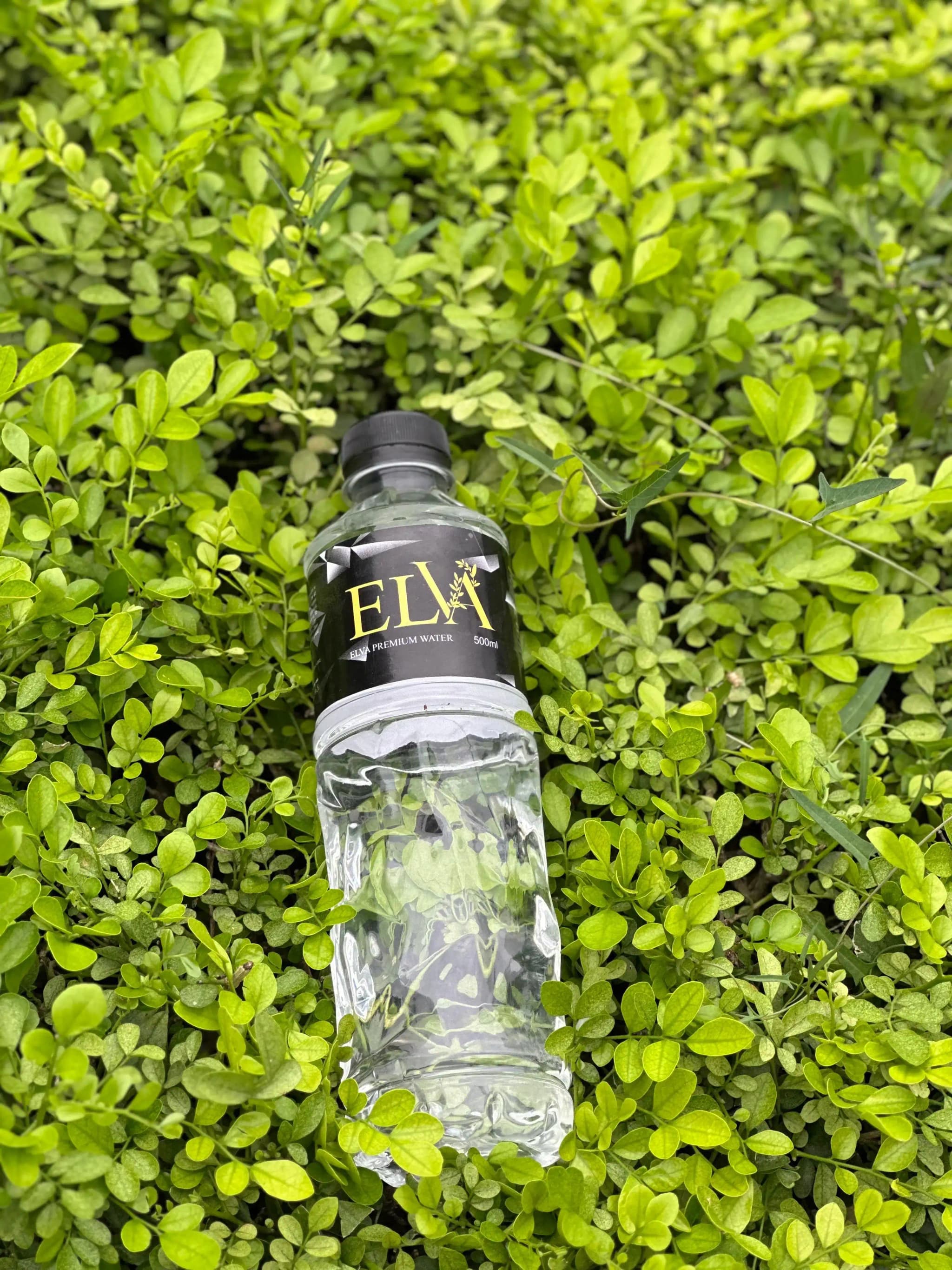 Precise Mineral Balance visual